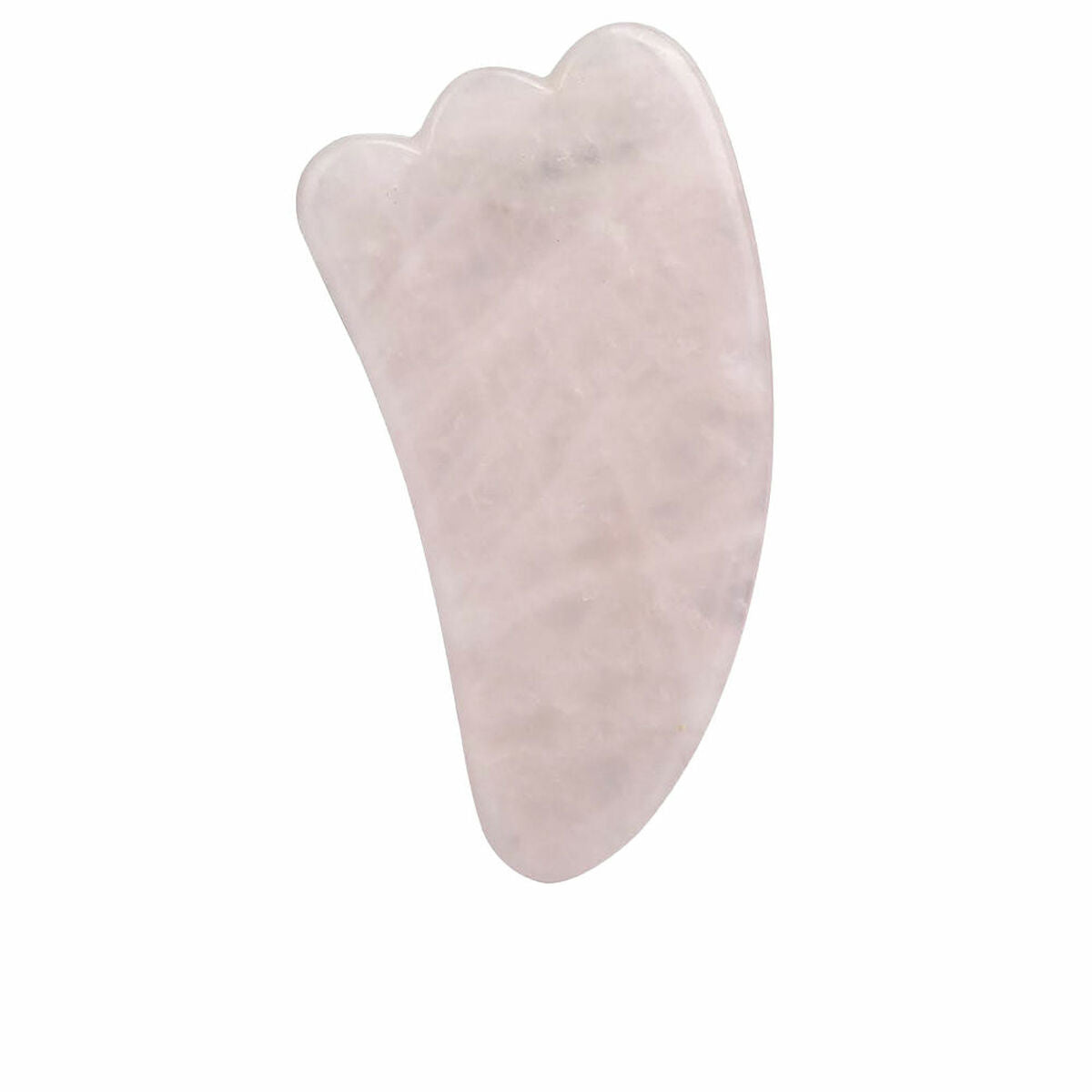 Facial cleansing brush Paloma Beauties HIGIENE Y BIENESTAR Pink – изображение 1 | NetTrade.ee