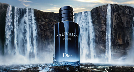 Unveiling the Top 10 Irresistible Men's Fragrances: What Every Gent Needs to Know!