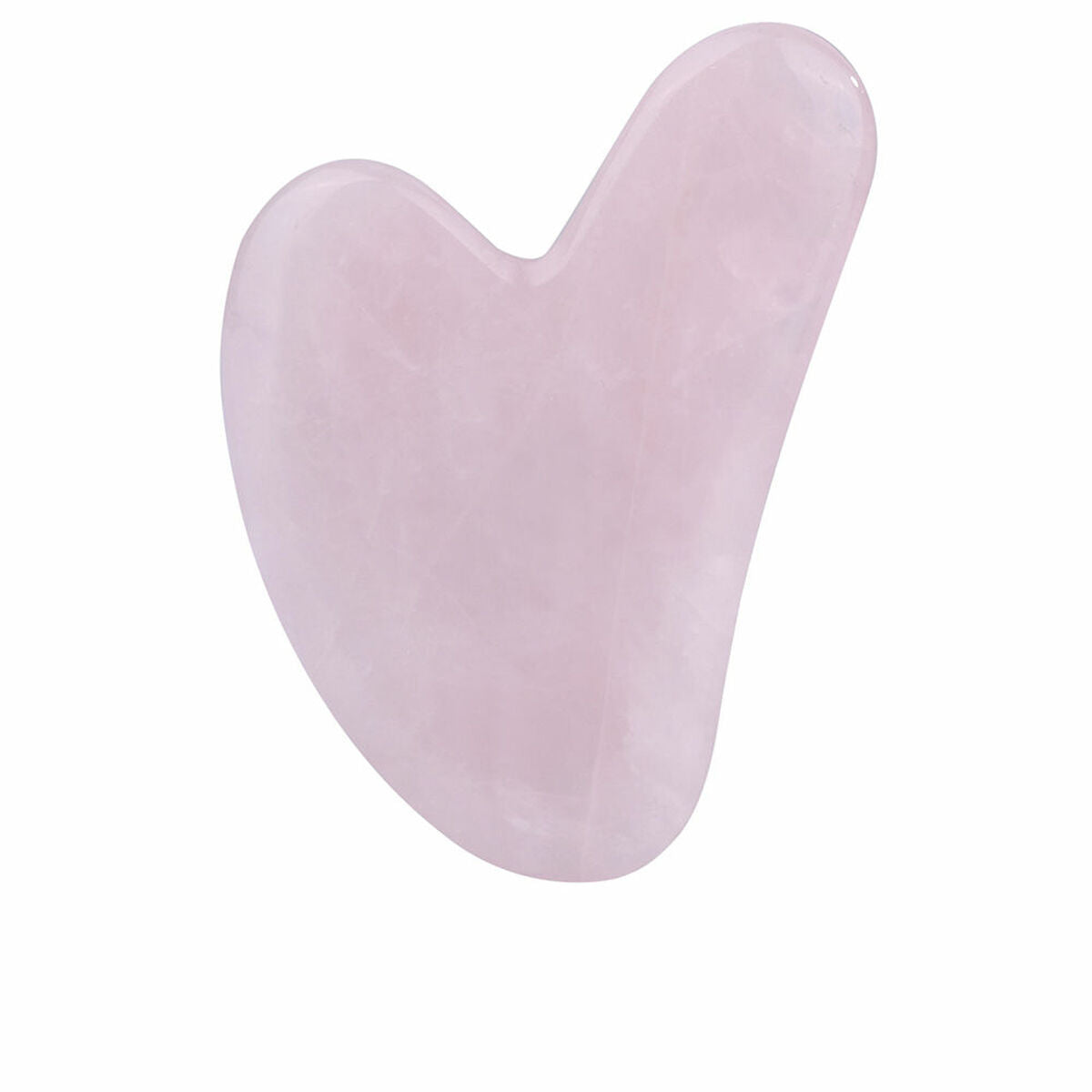 Facial cleansing brush Paloma Beauties HIGIENE Y BIENESTAR Pink – изображение 1 | NetTrade.ee