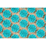 V3H50A1A08B3FC3C3330C33C0C66B4FA5C9R6281322P6